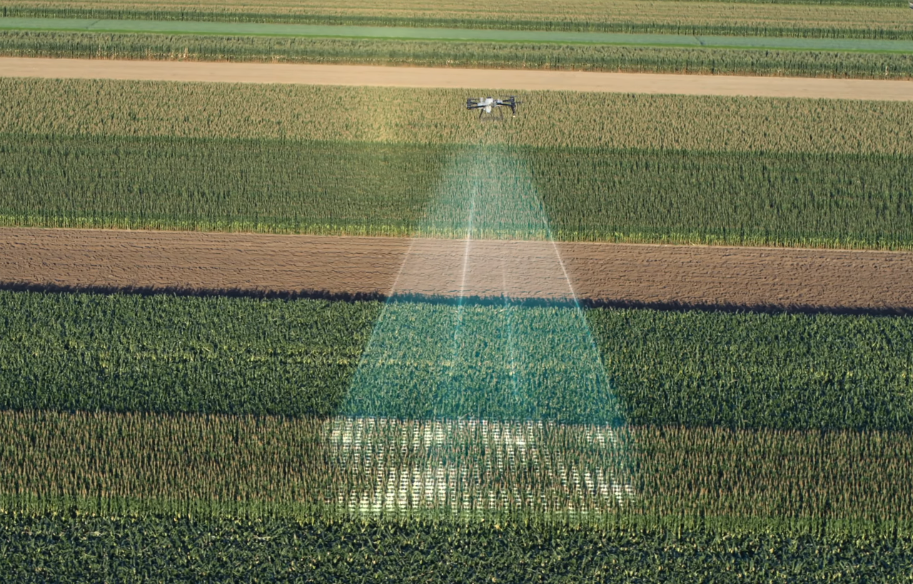 Detección de plagas con dron